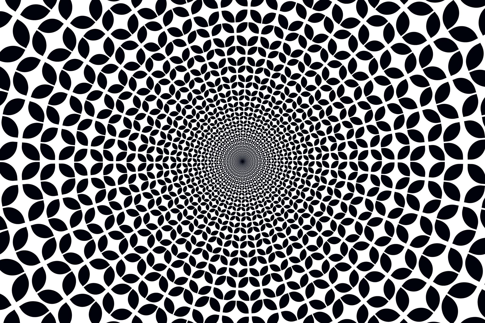 472768643_122197397456083260_8689219761254030026_n.jpg