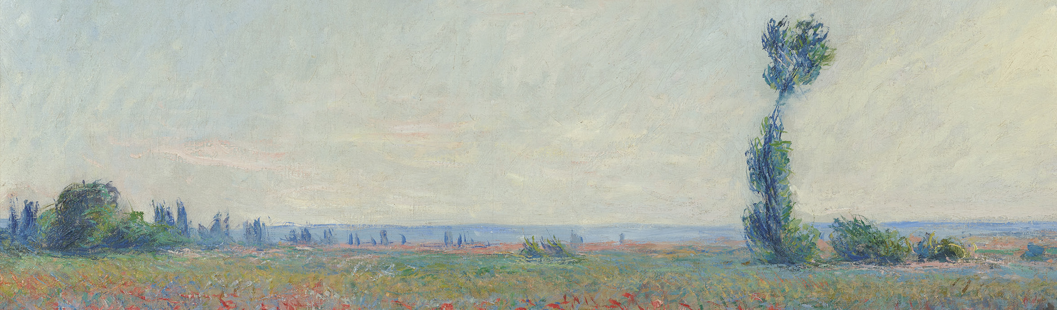 68c43fd4-39e8-448c-8c5f-b6405b2b6381-cardcultura_immagineorizzontale-da-monet-3400x1000-55b842.jpg