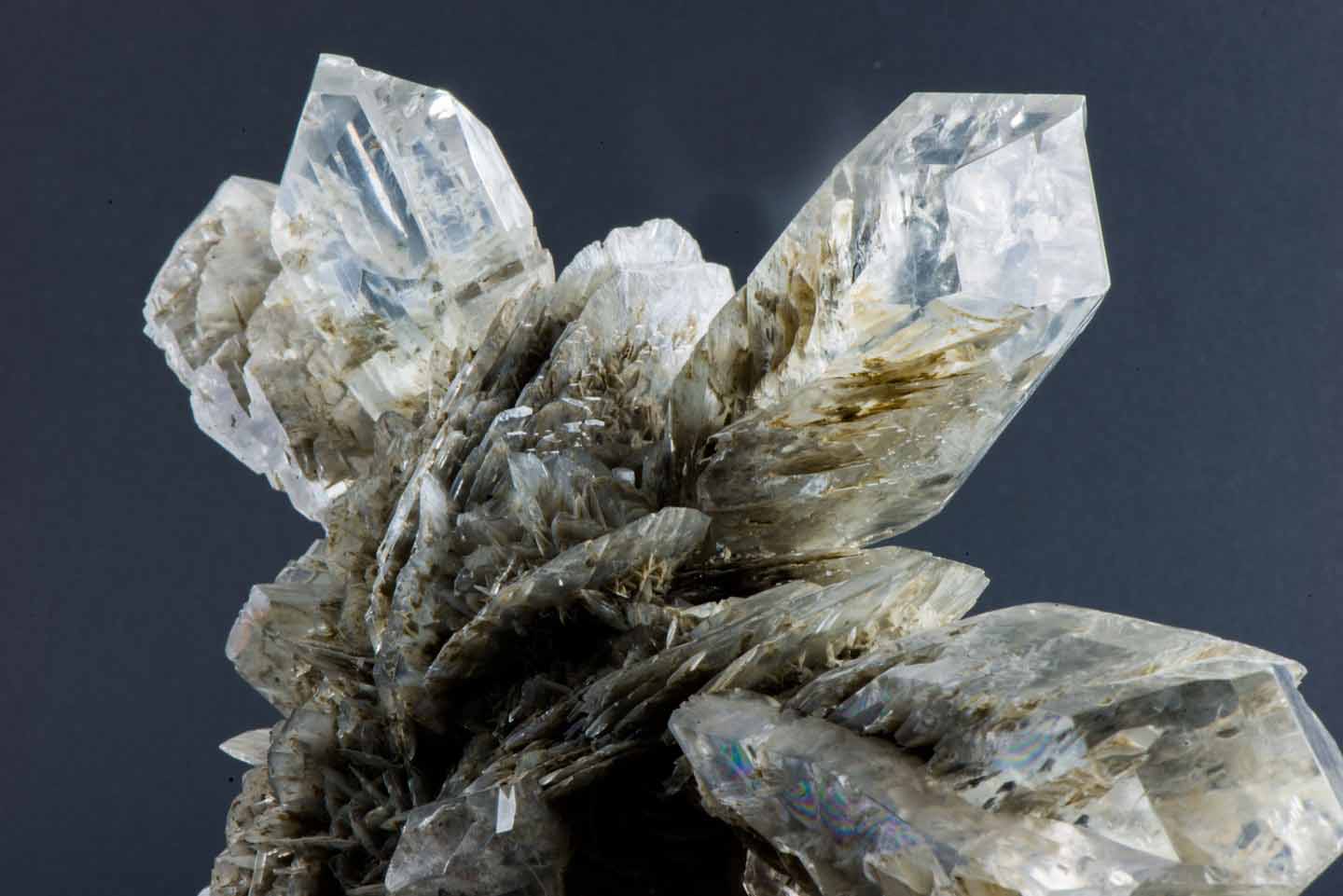Collezione di Mineralogia "Luigi Bombicci"