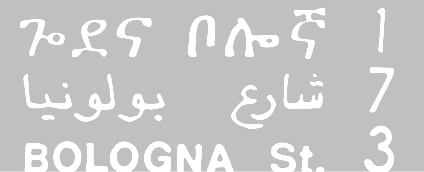 Muna Mussie. Bologna St.173, Un viaggio a ritroso. Congressi e Festival Eritrei a Bologna